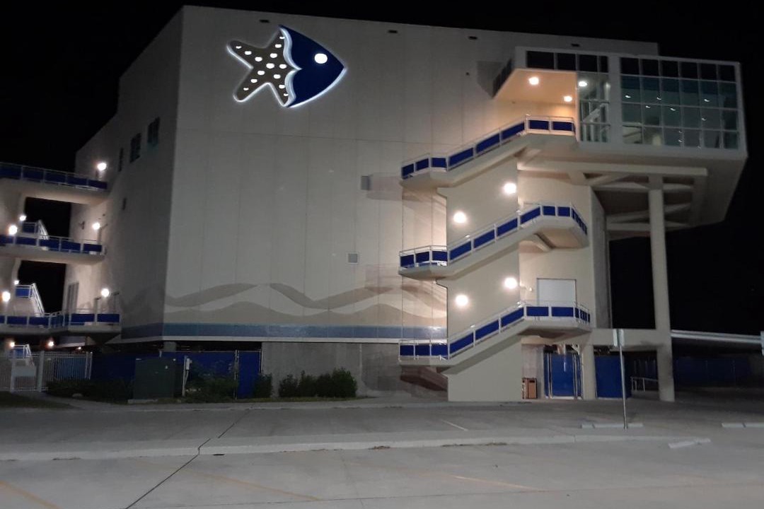 Photo of Others in North Beach