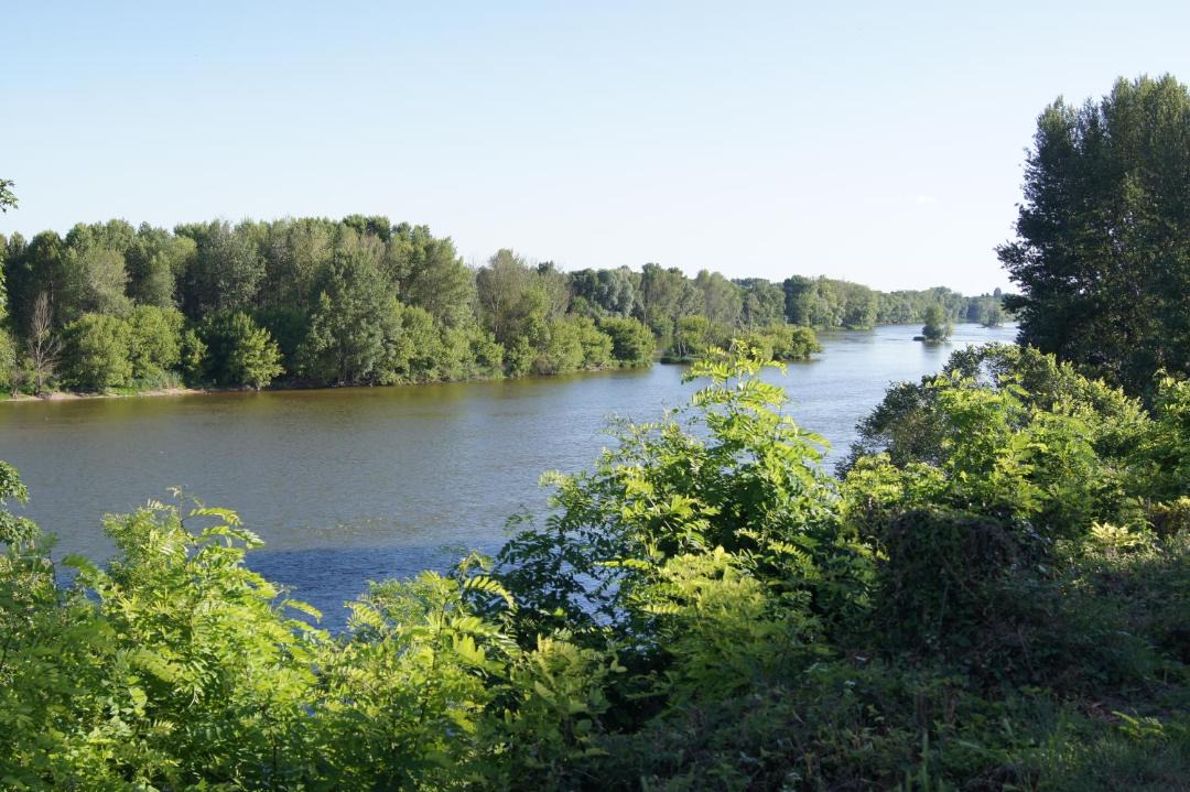 Photo of Outdoor in Saint-Ay