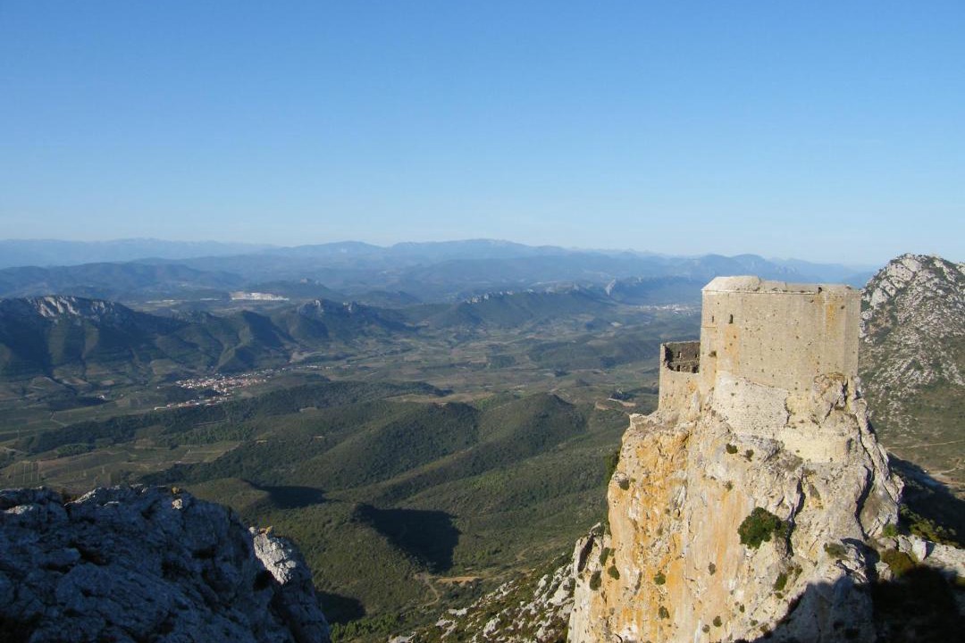 Photo of Others in Prugnanes