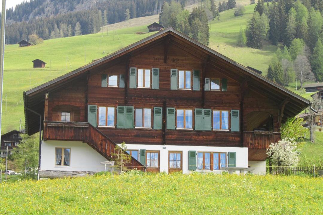 Photo of Others in Lenk