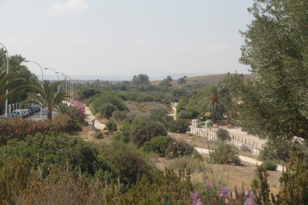 Photo of Others in Gran Alacant