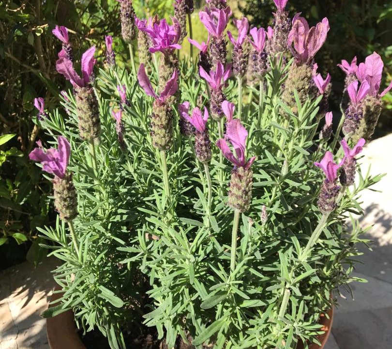 Photo of Others in Quartier Beauregard-Boufflers-Buthegnemont-Boudonville