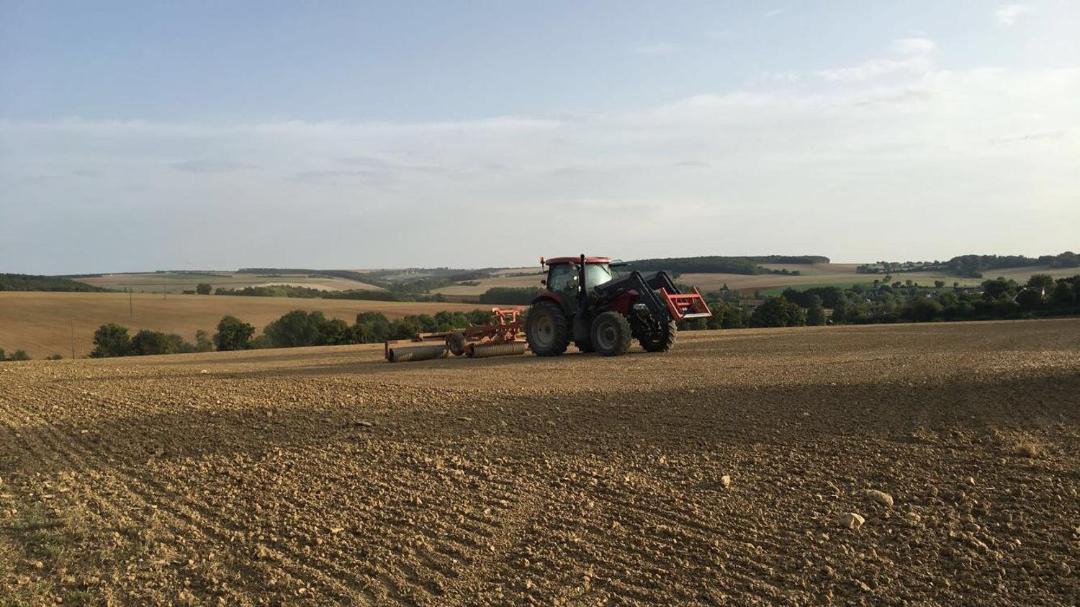 Photo of Others in Leugny