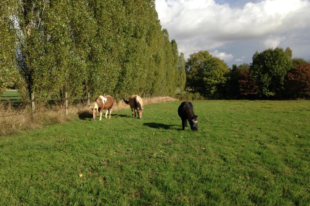 Photo of Others in Leugny