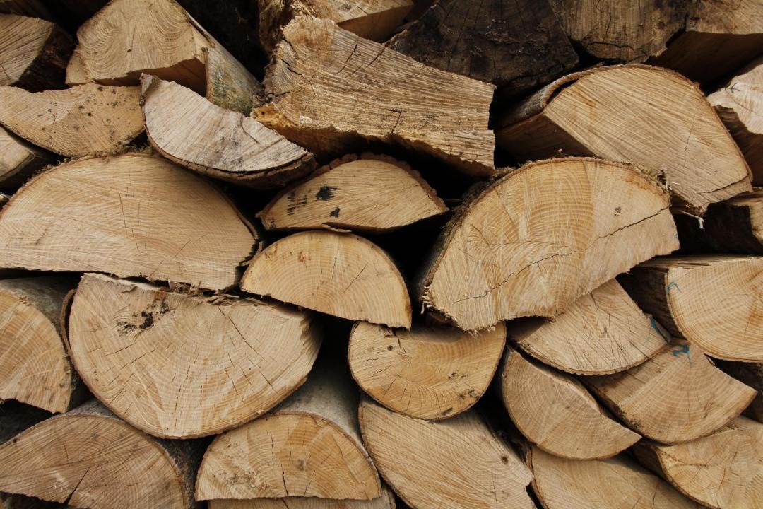 Photo of Others in Saltash