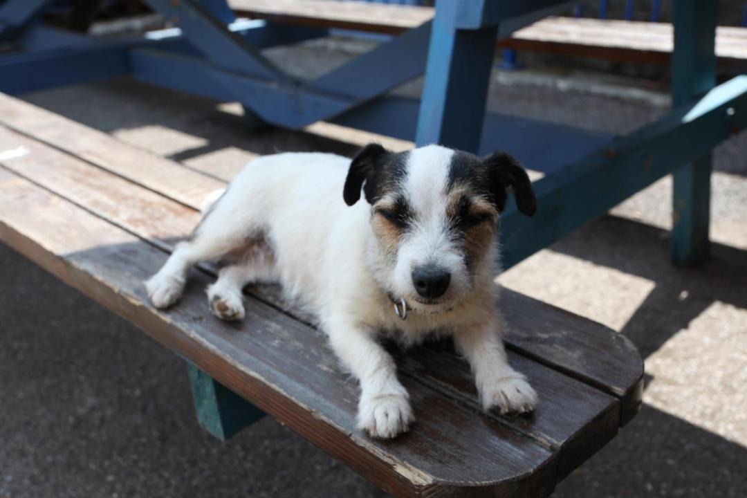 Photo of Others in Saltash