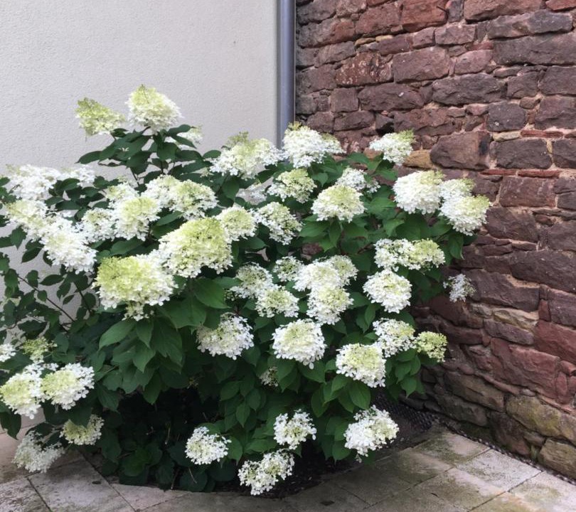 Photo of Outdoor in Marlenheim