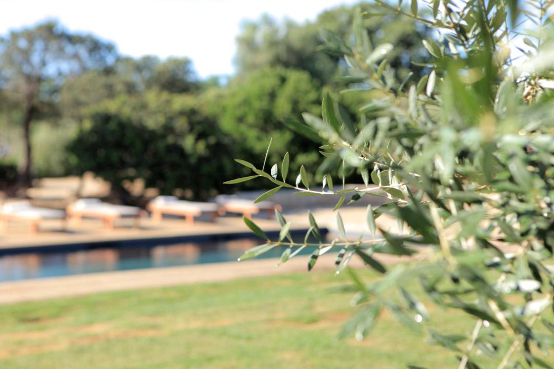 Photo of Others in Pigna