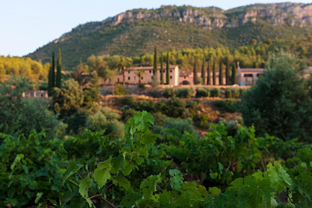 Photo of Others in La Vilella Alta