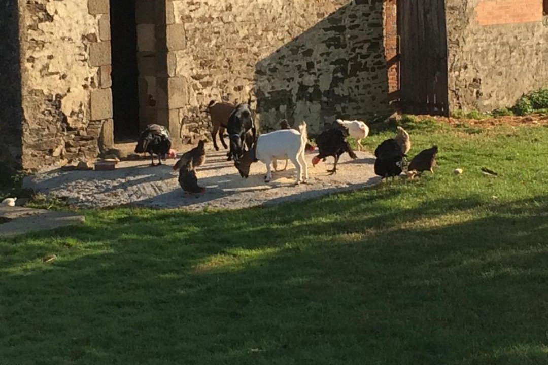 Photo of Others in Bussiere-Poitevine