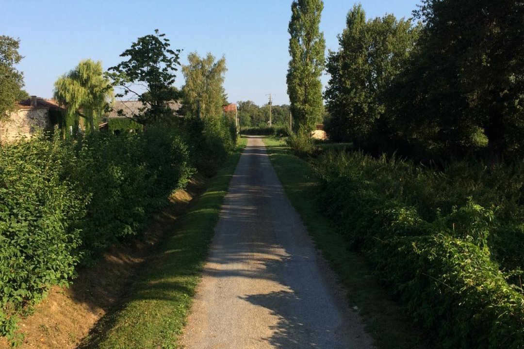 Photo of Others in Bussiere-Poitevine