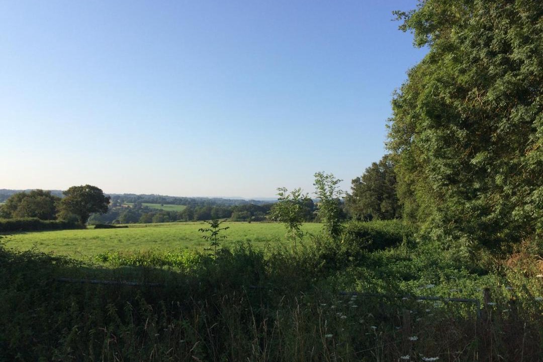 Photo of Others in Bussiere-Poitevine