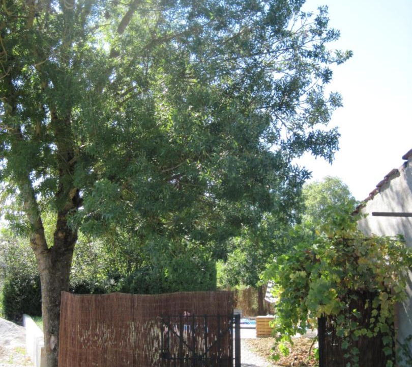 Photo of Others in Lempaut