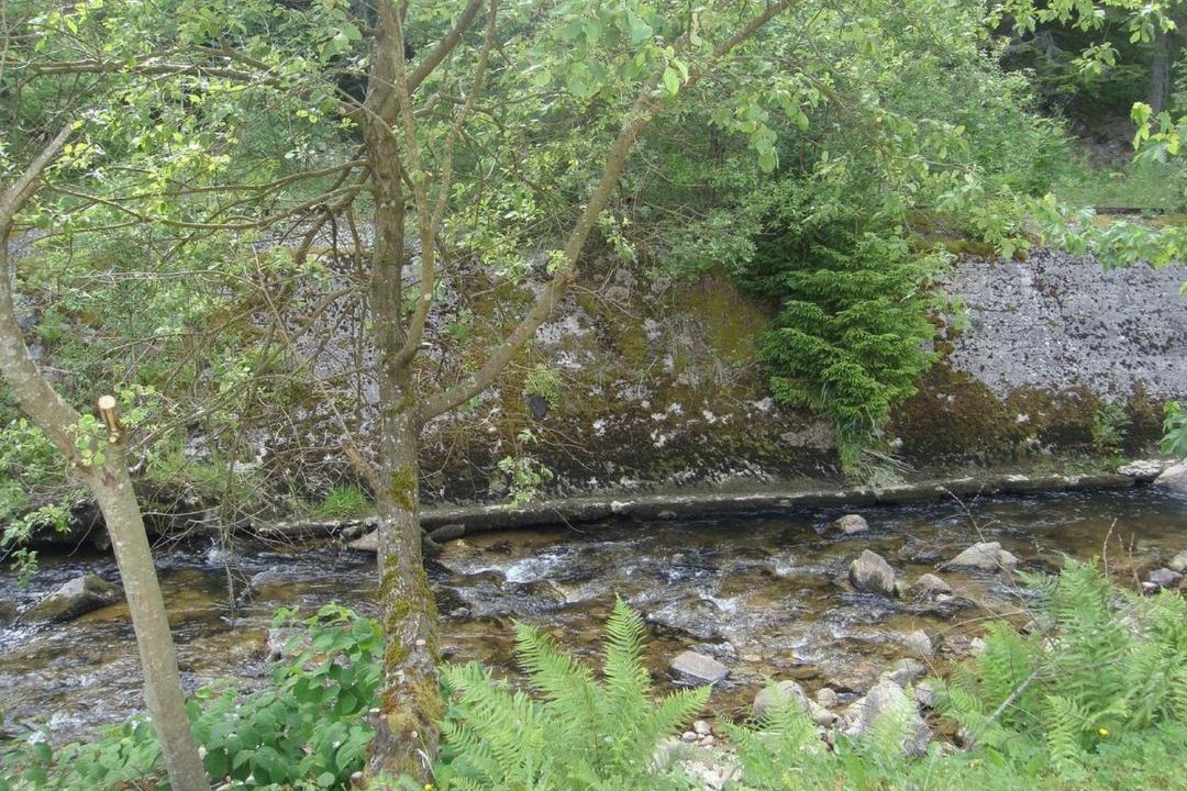 Photo of Others in Gerardmer