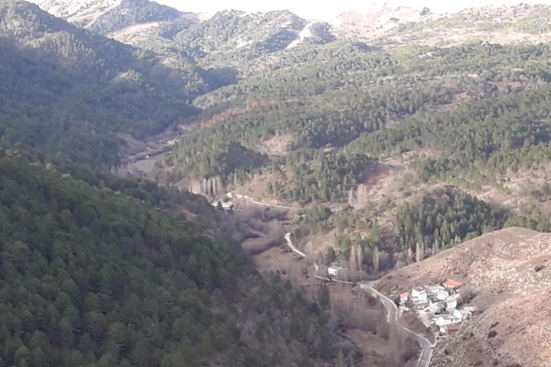 Photo of Others in Paterna del Madera