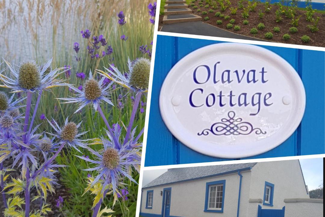 Photo of Others in Balloch