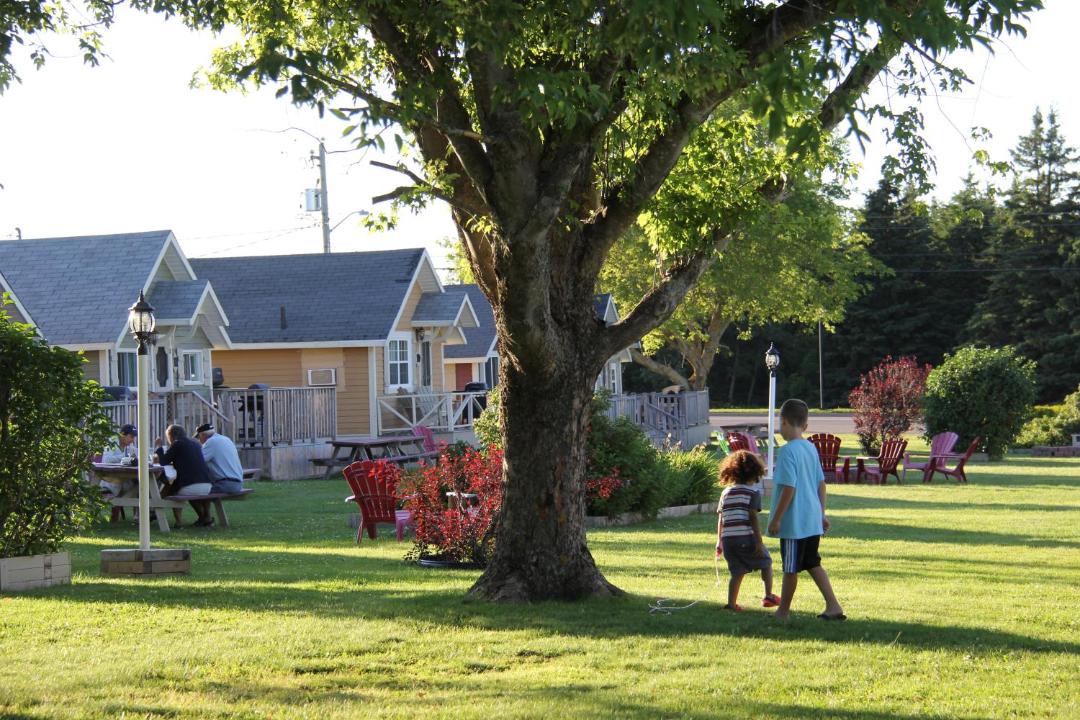 Photo of Others in Cavendish