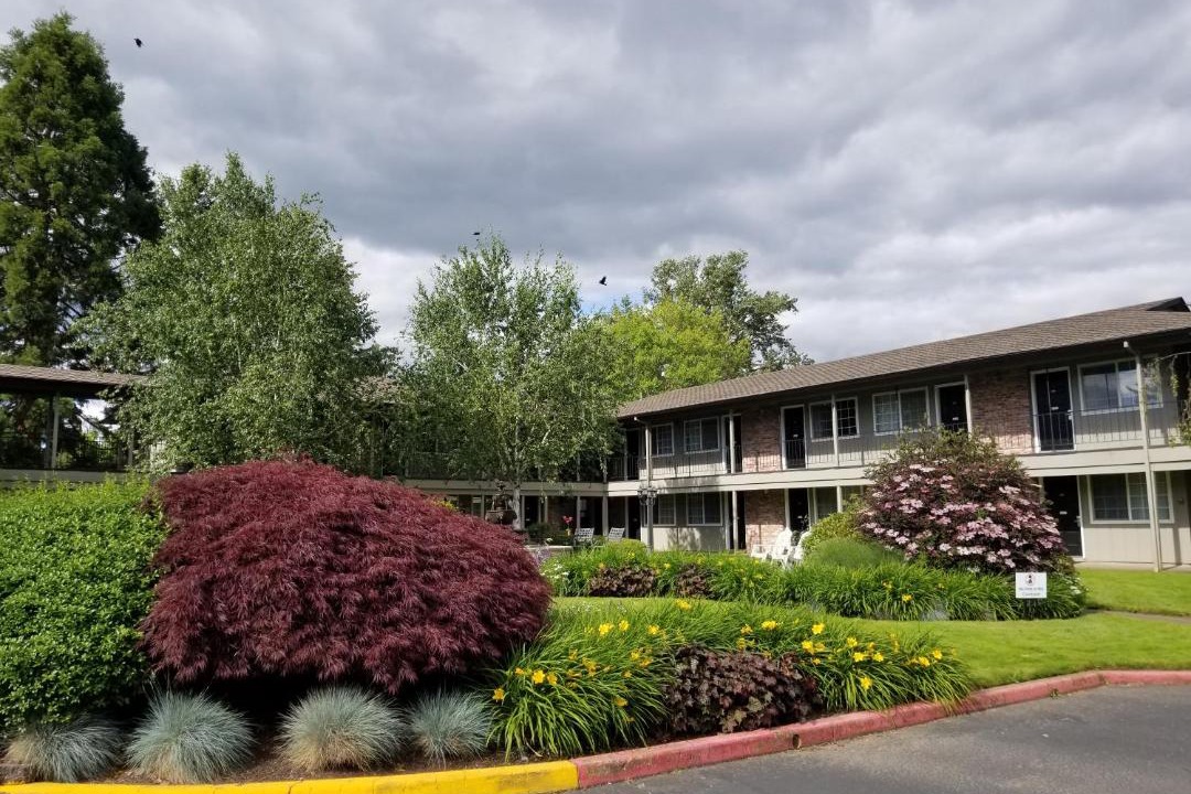 Photo of Buildings in Springfield