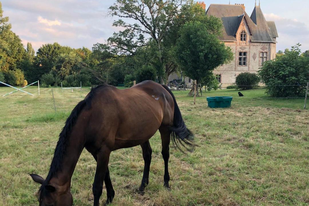 Photo of Others in Montreuil-sur-Maine