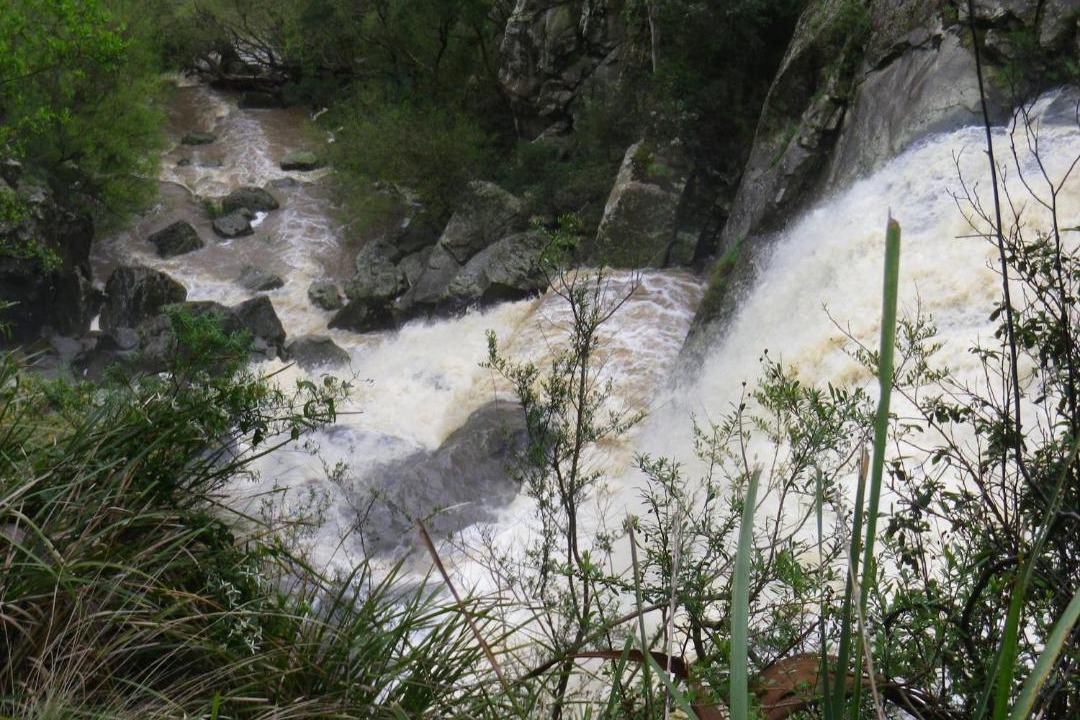 Photo of Others in Toora