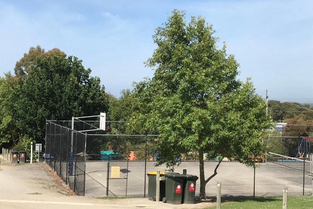 Photo of Others in Toora