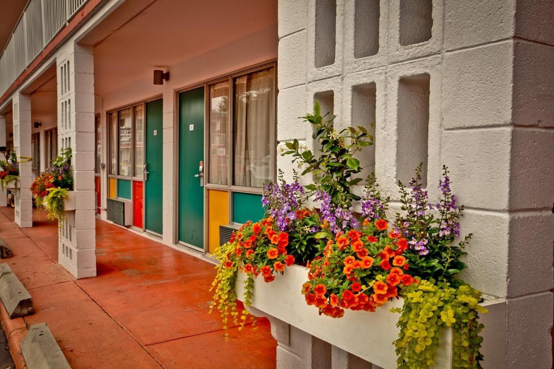 Photo of Others in Yamacraw Village