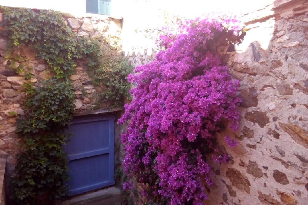 Photo of Others in Latour-de-France