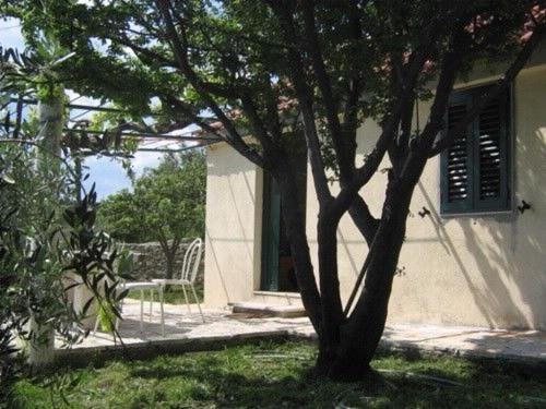 Photo of Buildings in Bol