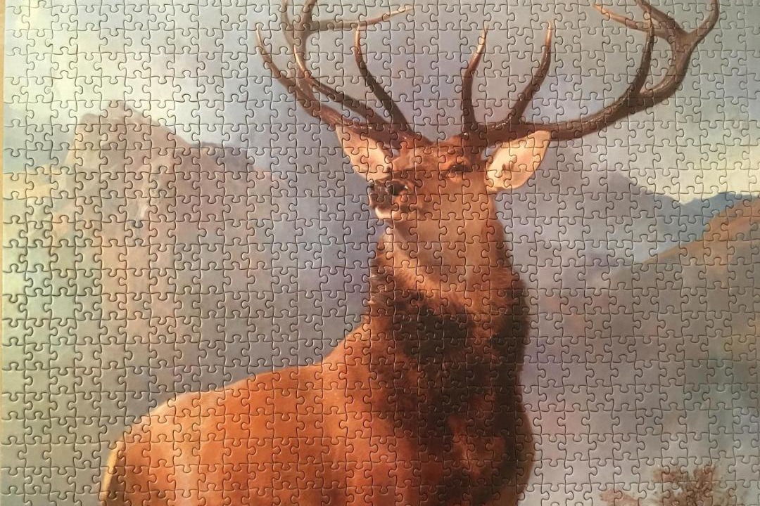 Photo of Others in Dufftown