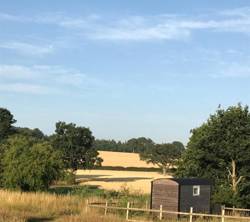 Photo of Others in Newport