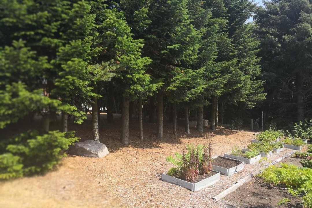 Photo of Others in Bækmarksbro