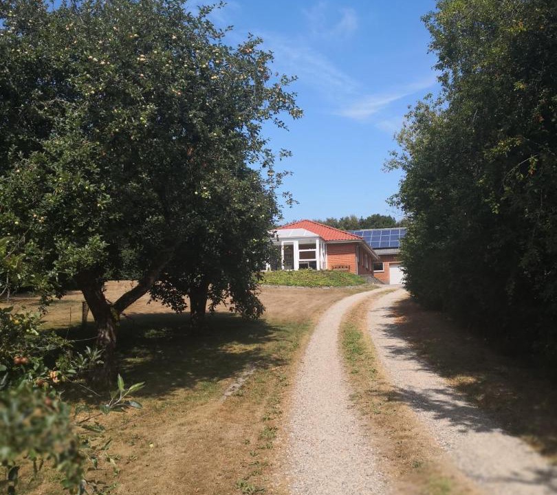 Photo of Others in Bækmarksbro