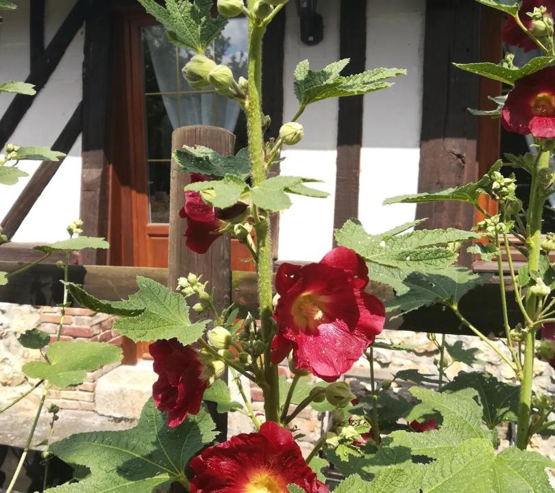 Photo of Others in Toutainville