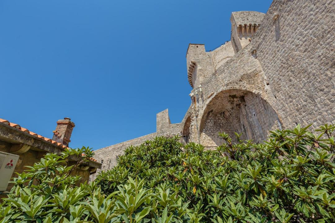 Photo of Others in Dubrovnik Old Town