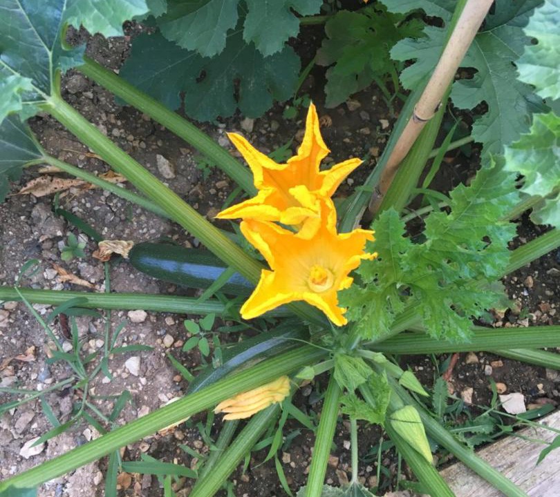 Photo of Others in Celles