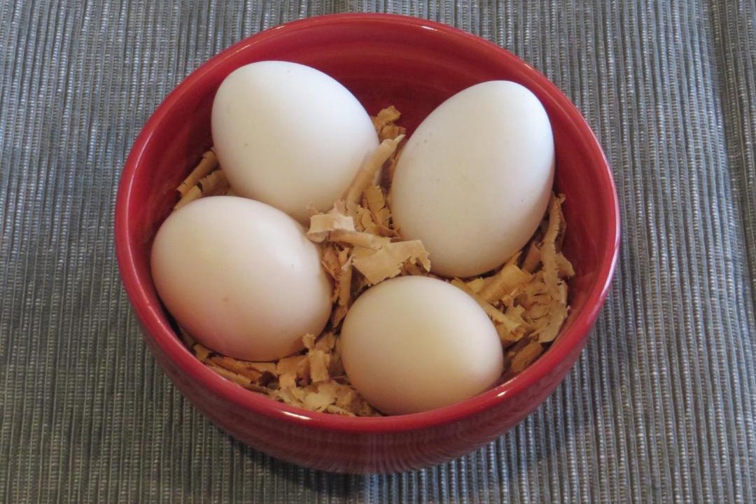 Photo of Bathroom in Stratford