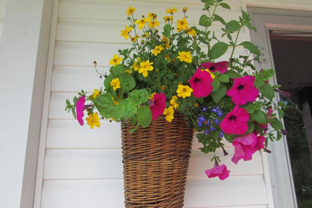 Photo of Others in Port-Daniel