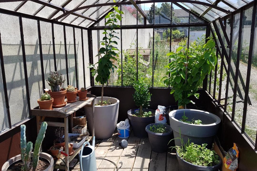 Photo of Others in Monplaisir