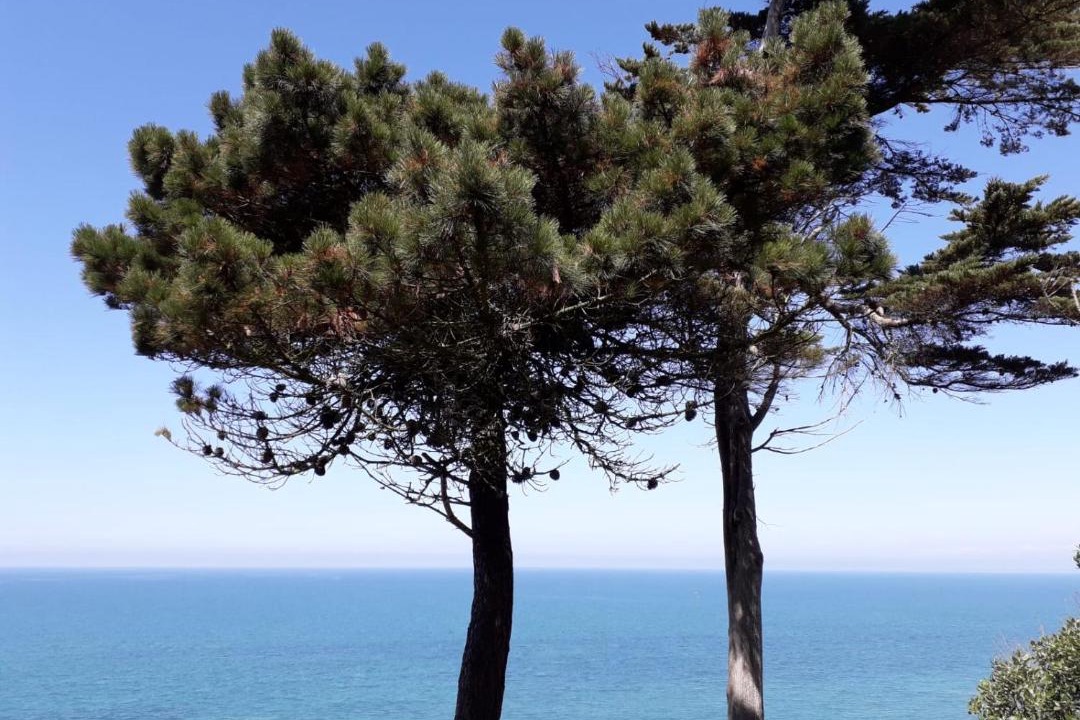 Photo of Outdoor in Granville