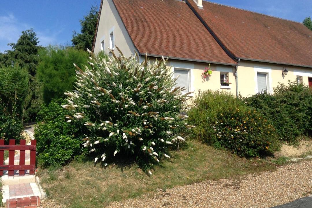 Photo of Buildings in Chenonceaux