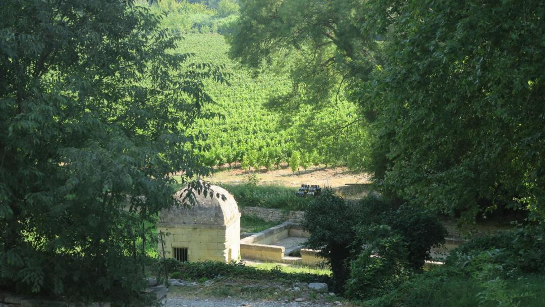 Photo of Others in Salinelles