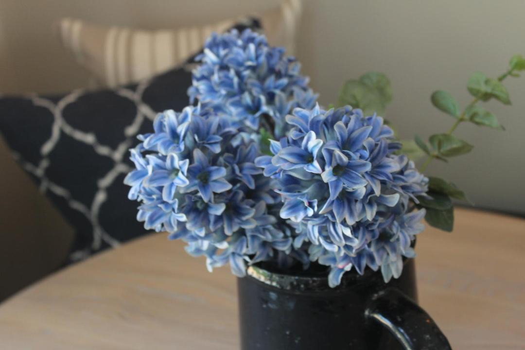 Photo of Others in Aldingbourne