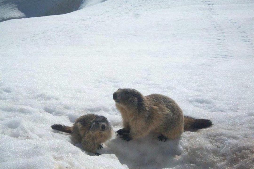 Photo of Others in Orlu