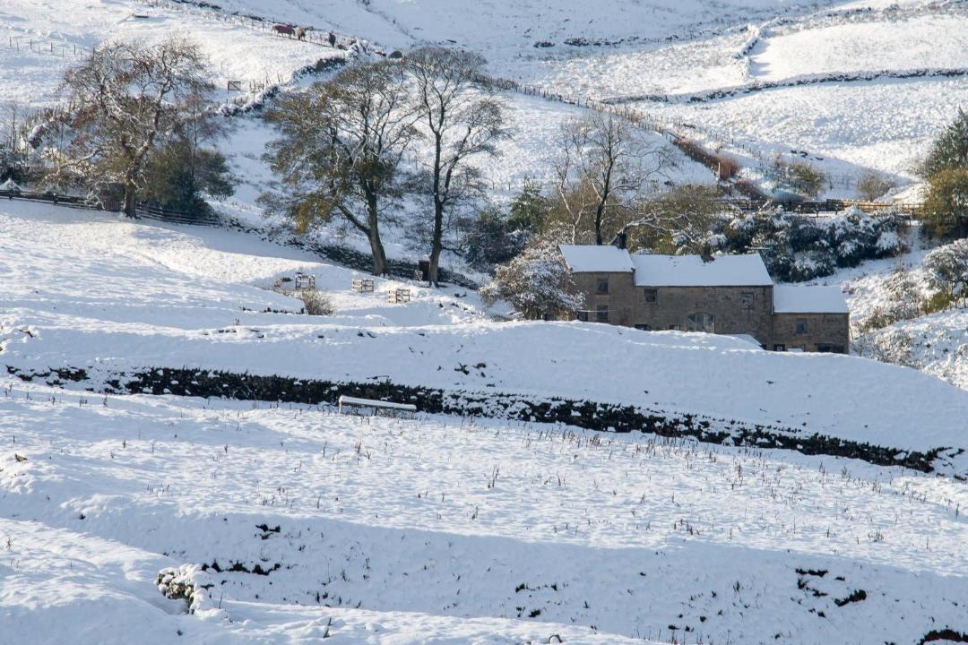 Photo of Others in Lofthouse