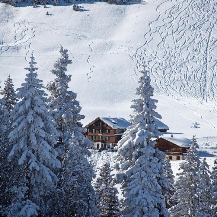 Photo of Others in Adelboden