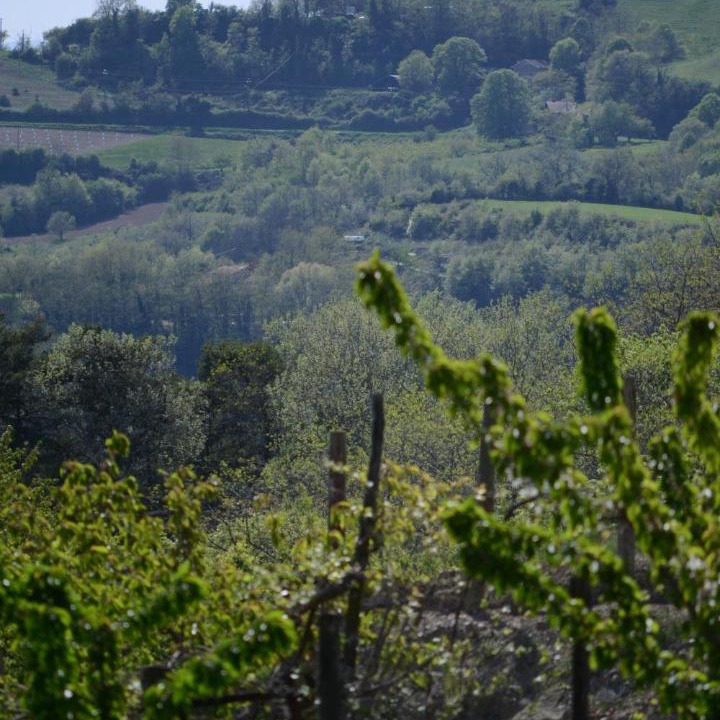 Photo of Others in Montchenu