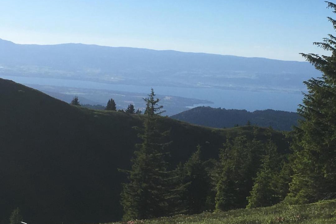 Photo of Others in Hirmentaz