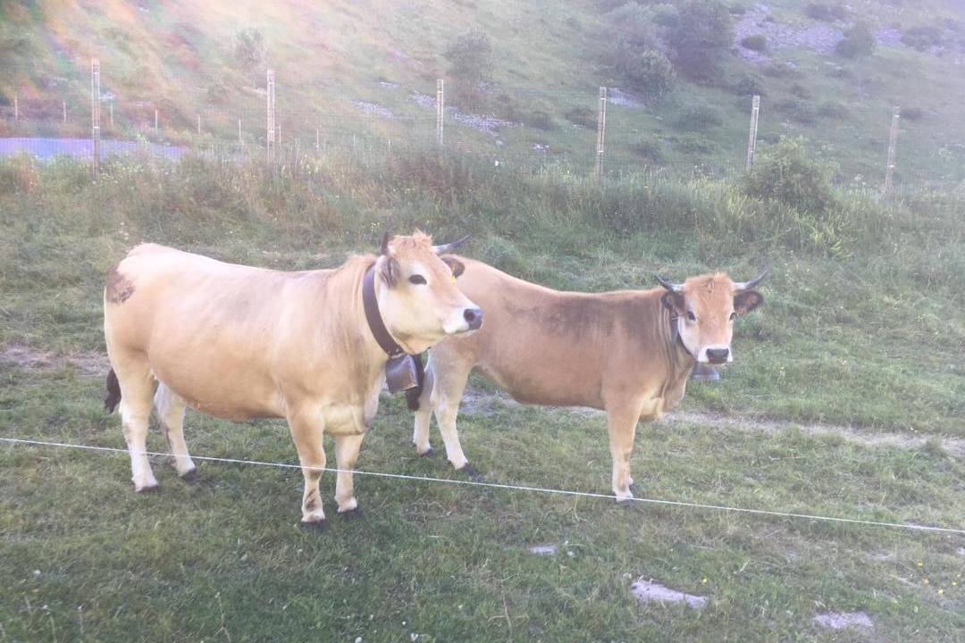 Photo of Outdoor in Hirmentaz