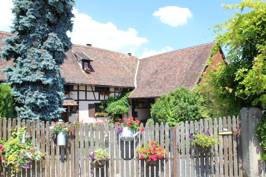 Photo of Others in Weyersheim