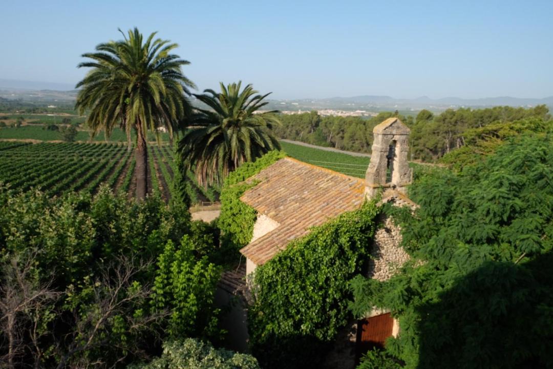 Photo of Others in El Pla del Penedes